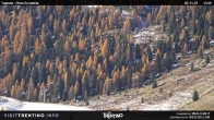 Archived image Webcam Malga Tognola 13:00
