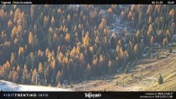 Archiv Foto Webcam Malga Tognola 15:00