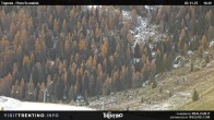 Archiv Foto Webcam Malga Tognola 17:00