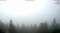 Archived image Webcam Großer Arber mountain (south) 07:00