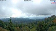 Archived image Webcam Großer Arber mountain (south) 11:00