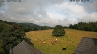 Archiv Foto Webcam Hotel Schäferhof in Schmallenberg 09:00