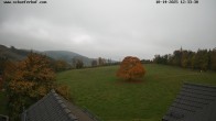 Archived image Webcam Hotel Schäferhof 11:00