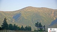 Archiv Foto Webcam Gipfel Wildcat Mountain 05:00