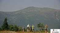 Archiv Foto Webcam Gipfel Wildcat Mountain 11:00