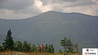 Archiv Foto Webcam Gipfel Wildcat Mountain 13:00