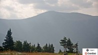 Archiv Foto Webcam Gipfel Wildcat Mountain 15:00