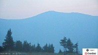 Archiv Foto Webcam Gipfel Wildcat Mountain 19:00