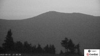 Archiv Foto Webcam Gipfel Wildcat Mountain 21:00