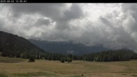 Archiv Foto Webcam Langlauf Plateau Arselle 11:00