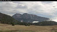 Archiv Foto Webcam Langlauf Plateau Arselle 13:00