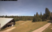 Archived image Webcam La Vattay - 1300m 11:00
