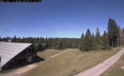 Archived image Webcam La Vattay - 1300m 13:00