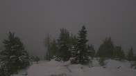 Archiv Foto Webcam Sunshine Village: Rock Isle Lake 03:00