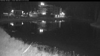 Archived image Webcam Brewer´s Pond Cam 19:00