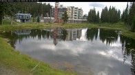 Archived image Webcam Brewer´s Pond Cam 03:00