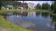 Archived image Webcam Brewer´s Pond Cam 05:00