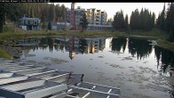 Archived image Webcam Brewer´s Pond Cam 06:00