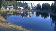 Archived image Webcam Brewer´s Pond Cam 08:00