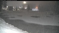 Archived image Webcam Brewer´s Pond Cam 01:00