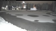 Archived image Webcam Brewer´s Pond Cam 03:00