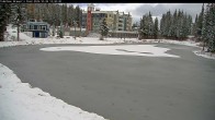 Archived image Webcam Brewer´s Pond Cam 11:00
