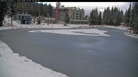 Archived image Webcam Brewer´s Pond Cam 13:00