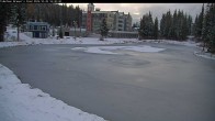 Archived image Webcam Brewer´s Pond Cam 15:00