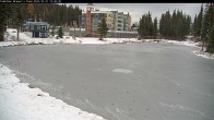 Archiv Foto Webcam Blick auf Brewer´s Pond 11:00