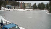 Archiv Foto Webcam Blick auf Brewer´s Pond 12:00