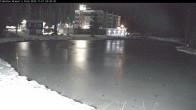 Archiv Foto Webcam Blick auf Brewer´s Pond 03:00