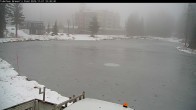 Archiv Foto Webcam Blick auf Brewer´s Pond 09:00