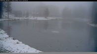Archiv Foto Webcam Blick auf Brewer´s Pond 15:00