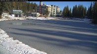 Archived image Webcam Brewer´s Pond Cam 09:00