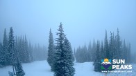 Archiv Foto Webcam Sun Peaks: Mt. Tod 07:00