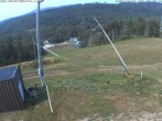 Archiv Foto Webcam Blick vom Poley Mountain 14:00
