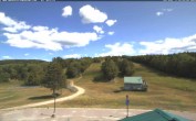 Archiv Foto Webcam Ski Martock Blick auf die Pisten 14:00