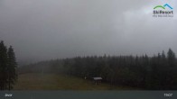 Archiv Foto Webcam Pec pod Snezkou - Javor 00:00