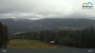 Archiv Foto Webcam Pec pod Snezkou - Javor 08:00