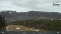 Archiv Foto Webcam Pec pod Snezkou - Javor 12:00