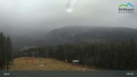 Archiv Foto Webcam Pec pod Snezkou - Javor 08:00