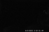 Archiv Foto Timberline Lodge: Webcam Jeff Flood Express 02:00