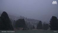 Archived image Webcam Passo Gardena - Alta Badia 02:00