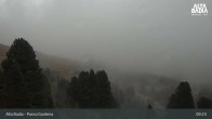 Archiv Foto Webcam Alta Badia - Passo Gardena 08:00