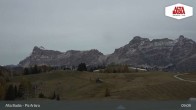 Archived image Webcam Alta Badia: Piz Arlara 08:00