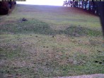 Archiv Foto Webcam Wiesensteig Piste 17:00