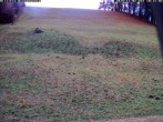 Archived image Webcam Wiesensteig Slope 09:00