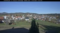 Archived image Webcam Neuschönau, Bavarian Forest 13:00
