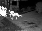 Archived image Webcam Bärenfels - Snowcam 01:00