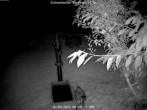 Archiv Foto Webcam Bärenfels im Osterzgebirge: Schneehöhe 23:00